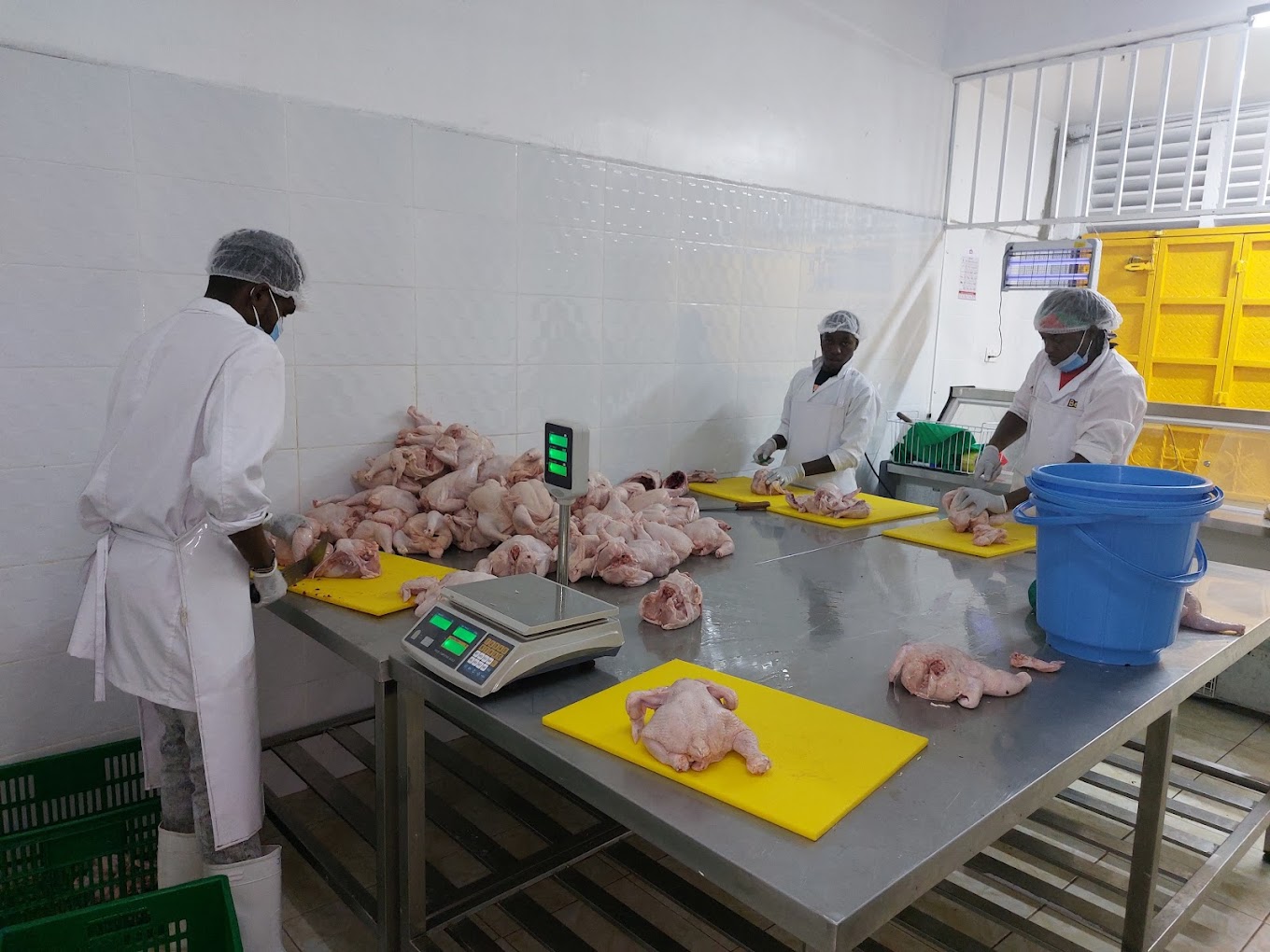 Big Kuku Slaughter House